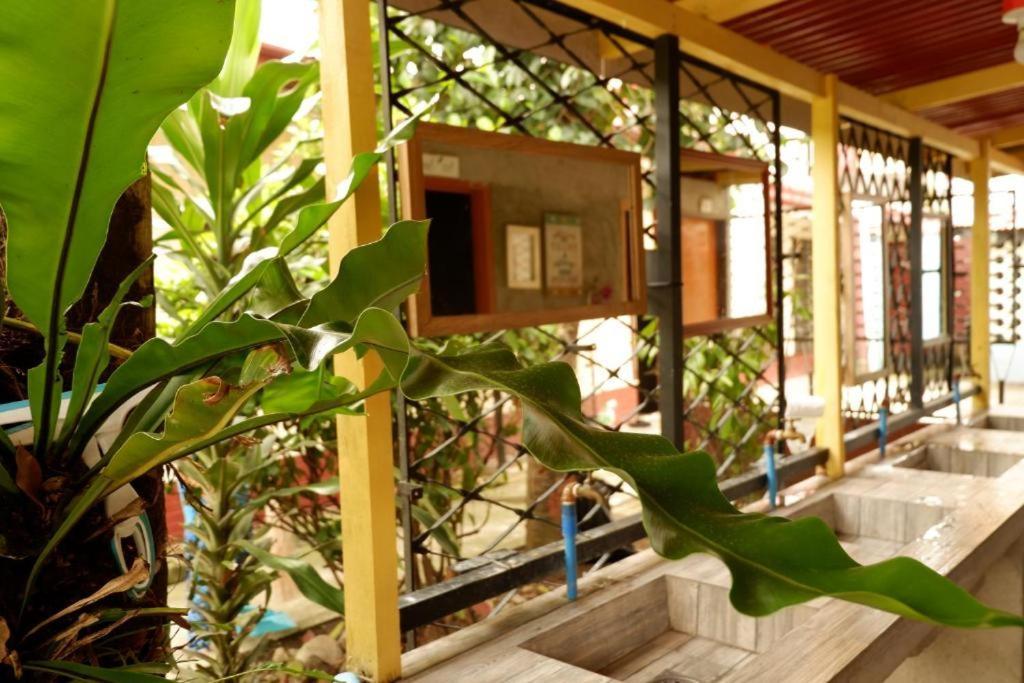 Tropical Breeze Hostel Cebu - Cebu Center Dış mekan fotoğraf